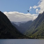 road from odda to eidfjord